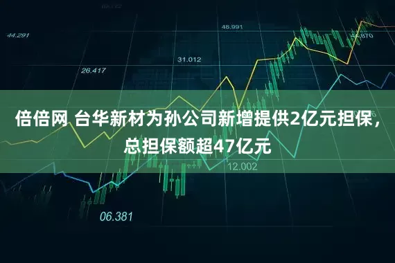倍倍网 台华新材为孙公司新增提供2亿元担保，总担保额超47亿元