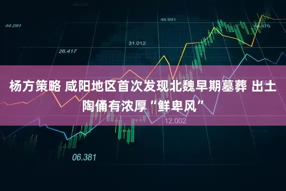 杨方策略 咸阳地区首次发现北魏早期墓葬 出土陶俑有浓厚“鲜卑风”